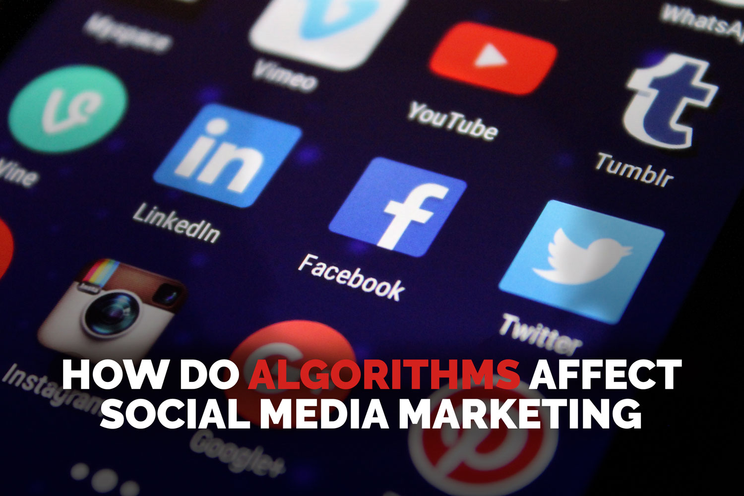 Social media algorithms