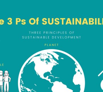 Embracing Sustainable Living Through Social Media